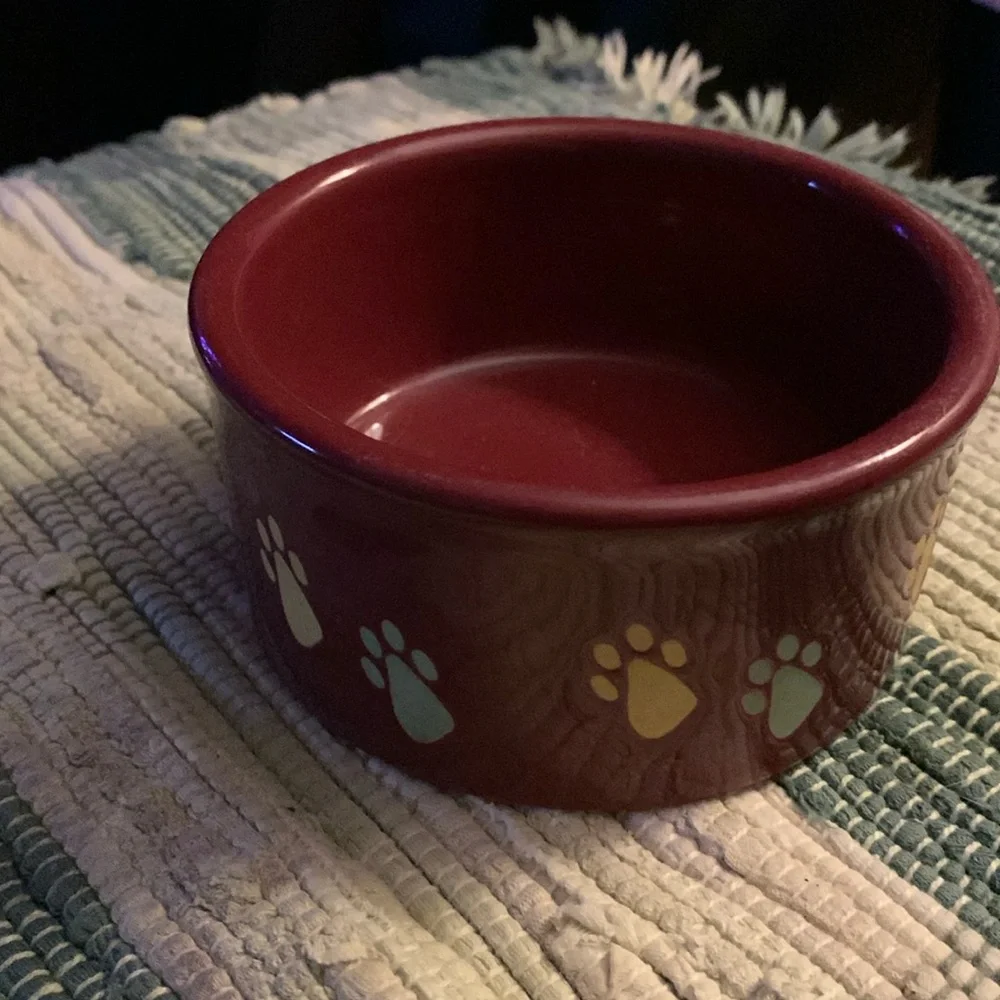 Ceramic Paw 🐾 print food bowl